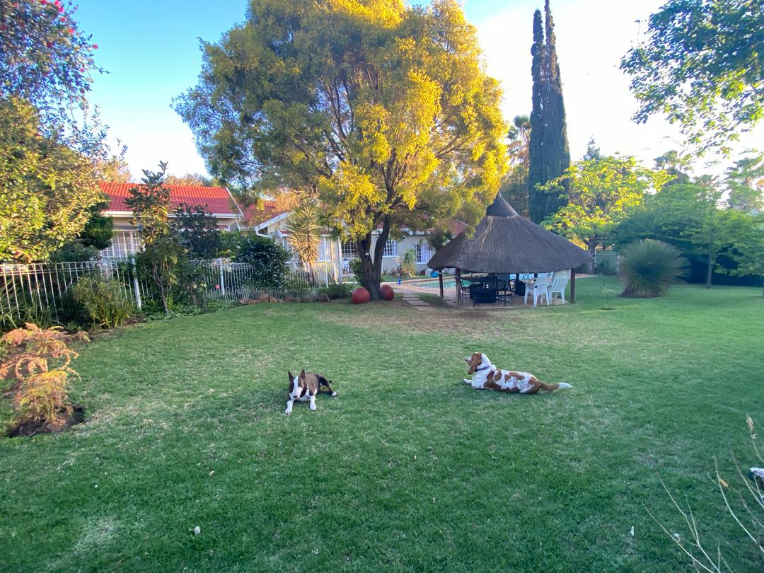 Luxury backyard pool and garden with family