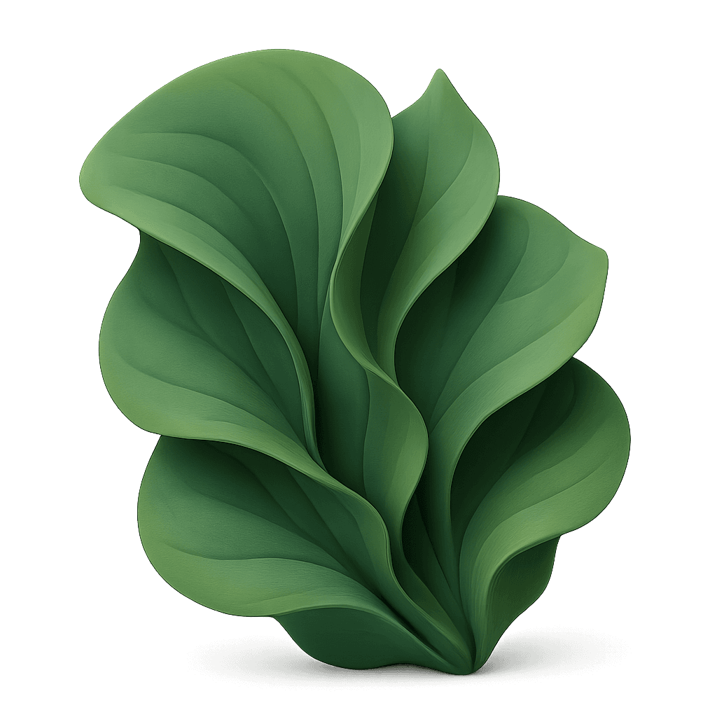 Leaf